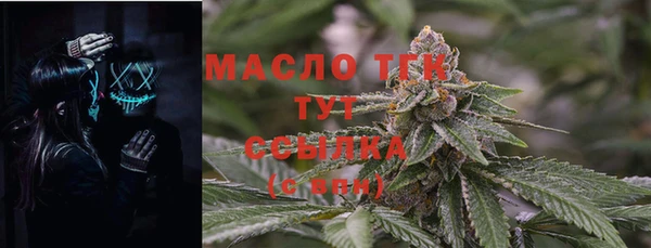 амф Пестово