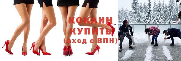 гашик Пересвет