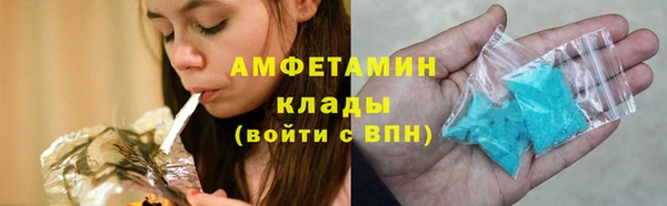 амф Пестово