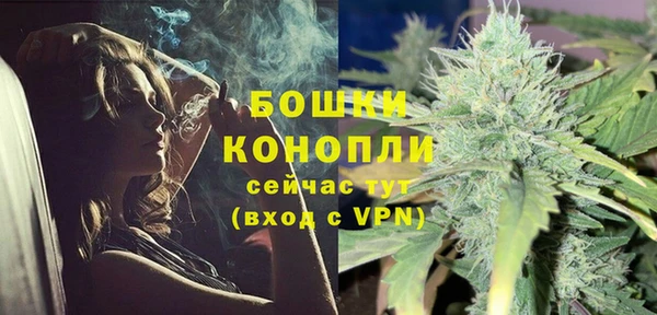 амф Пестово