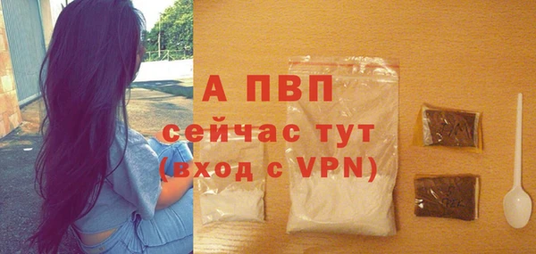 амф Пестово