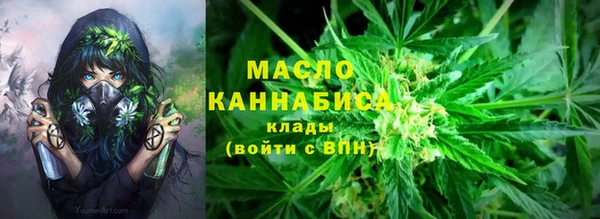 гашик Пересвет