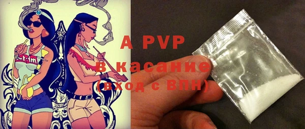 гашик Пересвет