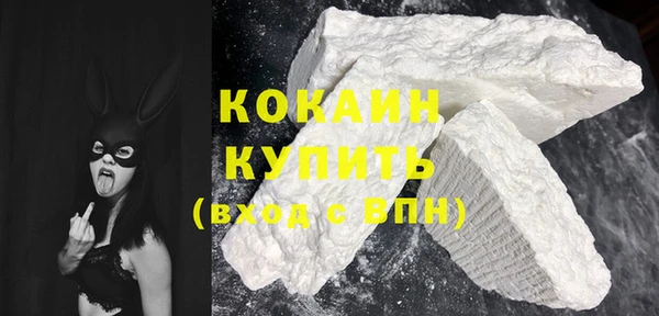 амф Пестово