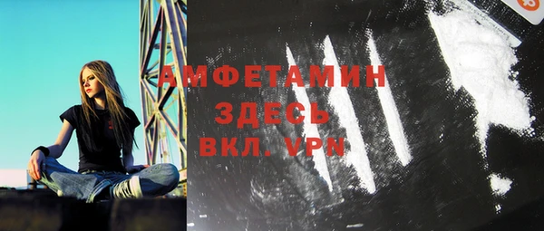 гашик Пересвет