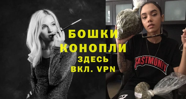 амф Пестово