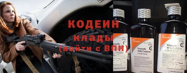 гашик Пересвет