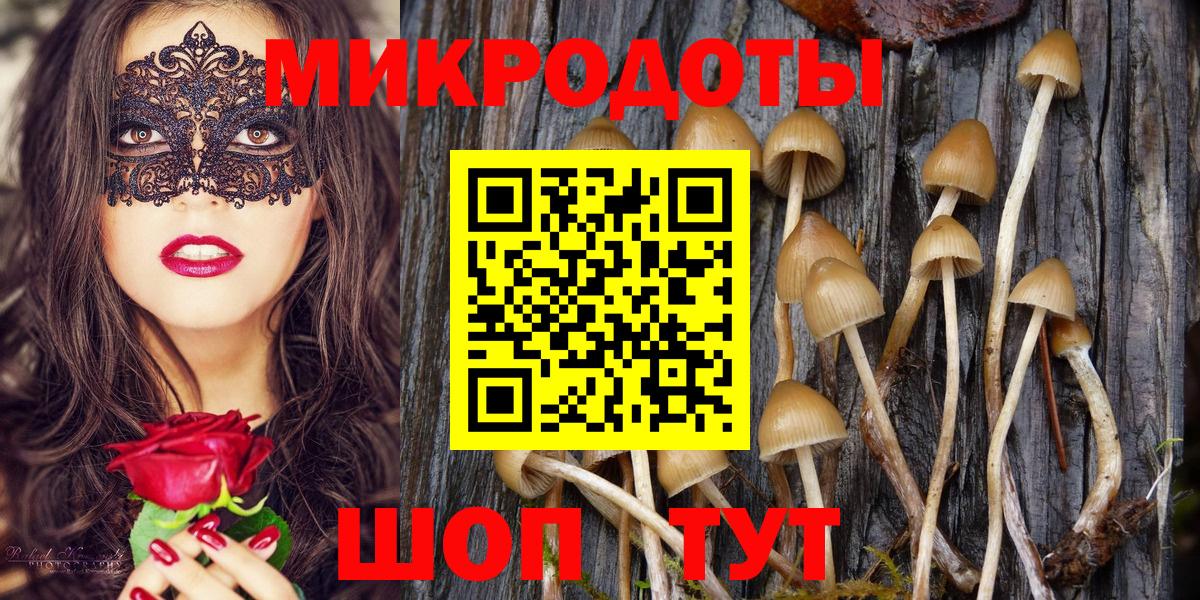 Псилоцибиновые грибы GOLDEN TEACHER Балтийск
