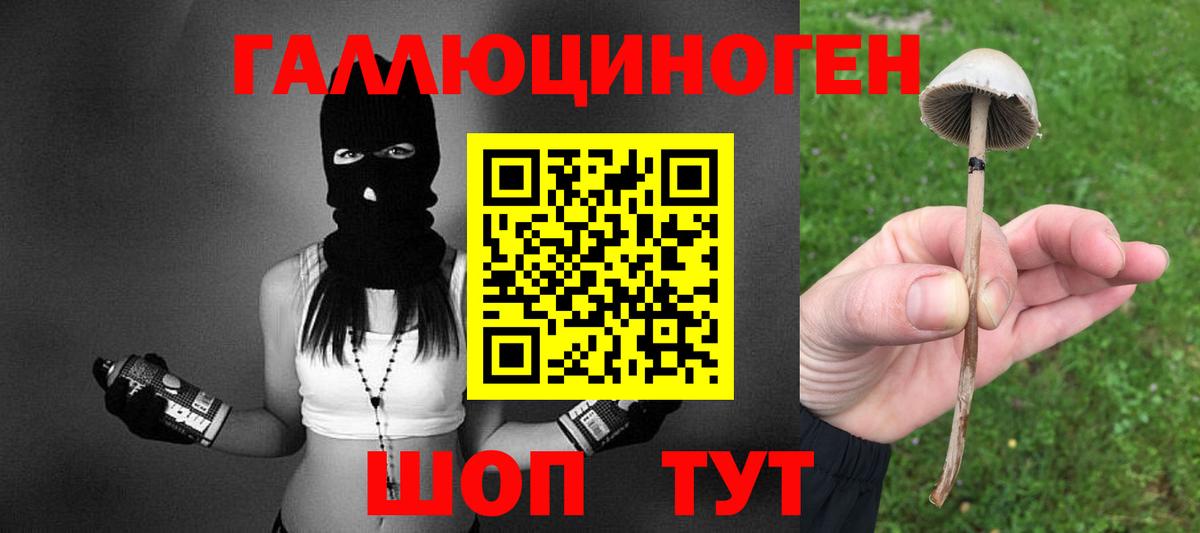 Балтийск  наркошоп  Вход с VPN  Псилоцибиновые грибы мицелий  Галлюциногенные грибы Magic Shrooms 