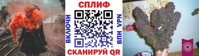 Бошки марихуана план Балтийск